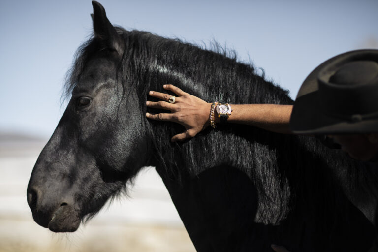 Paard behandeling osteopaat