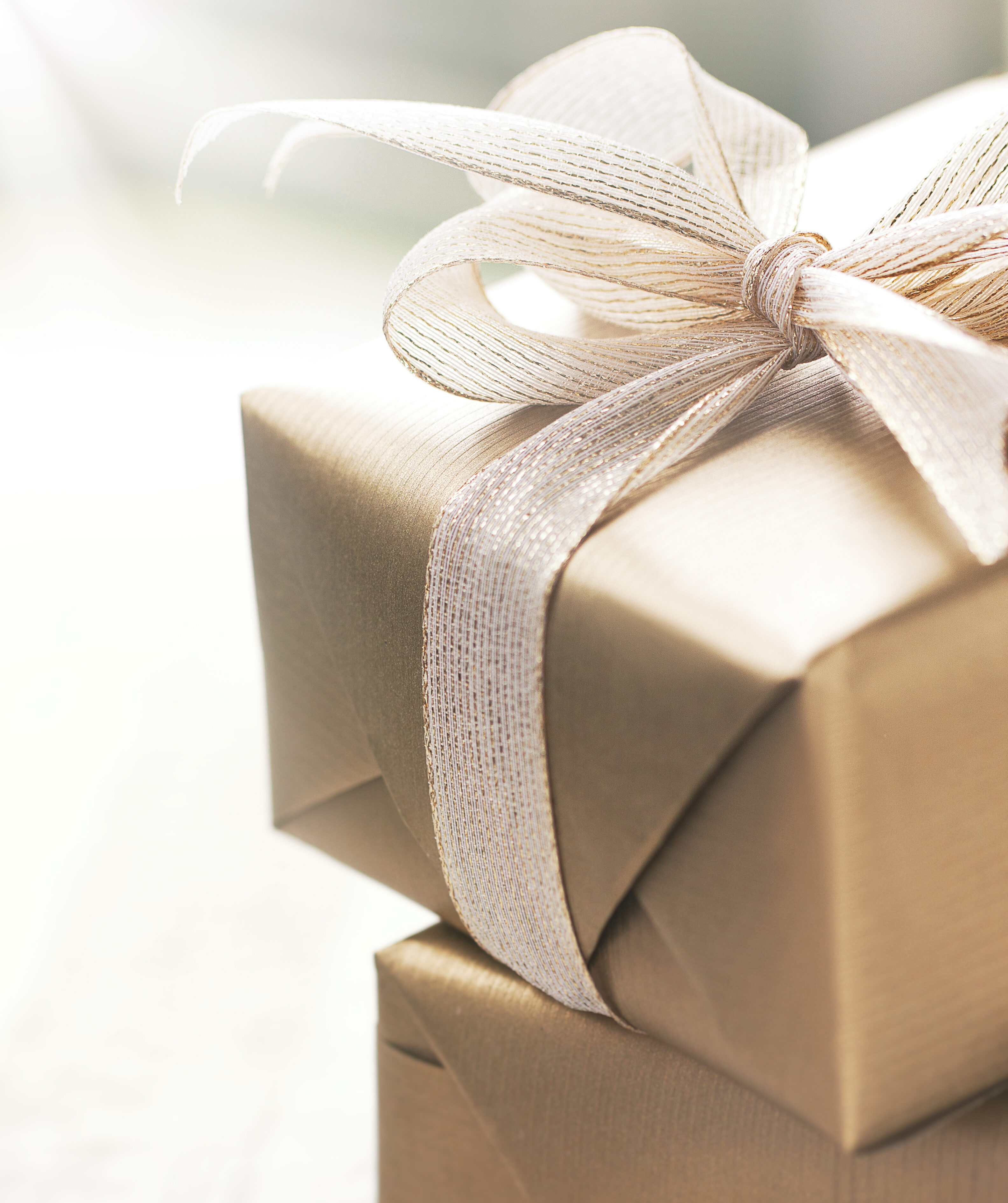 cadeaubon osteopathie paardenosteopathie