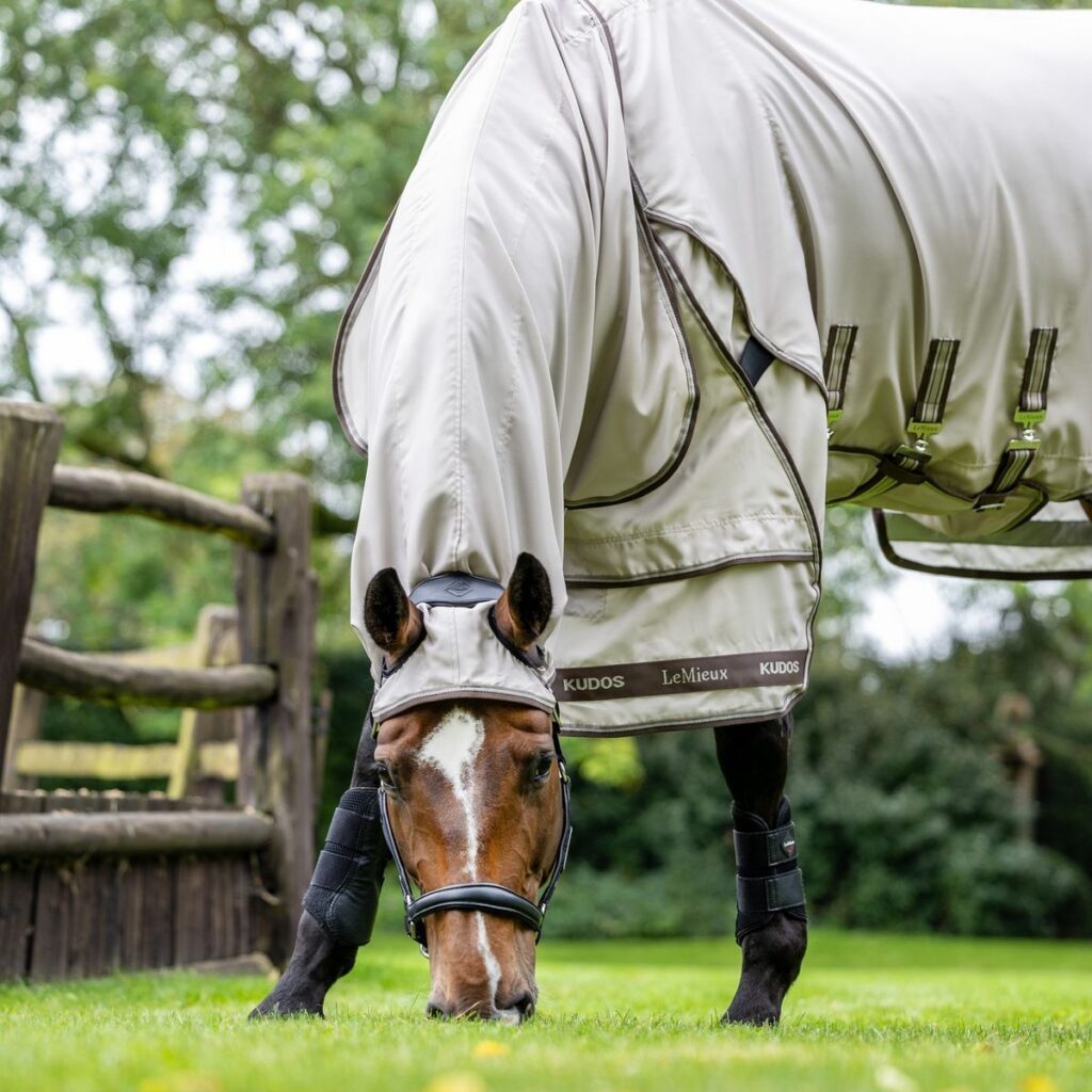 Vliegendeken paard Westnijlvirus